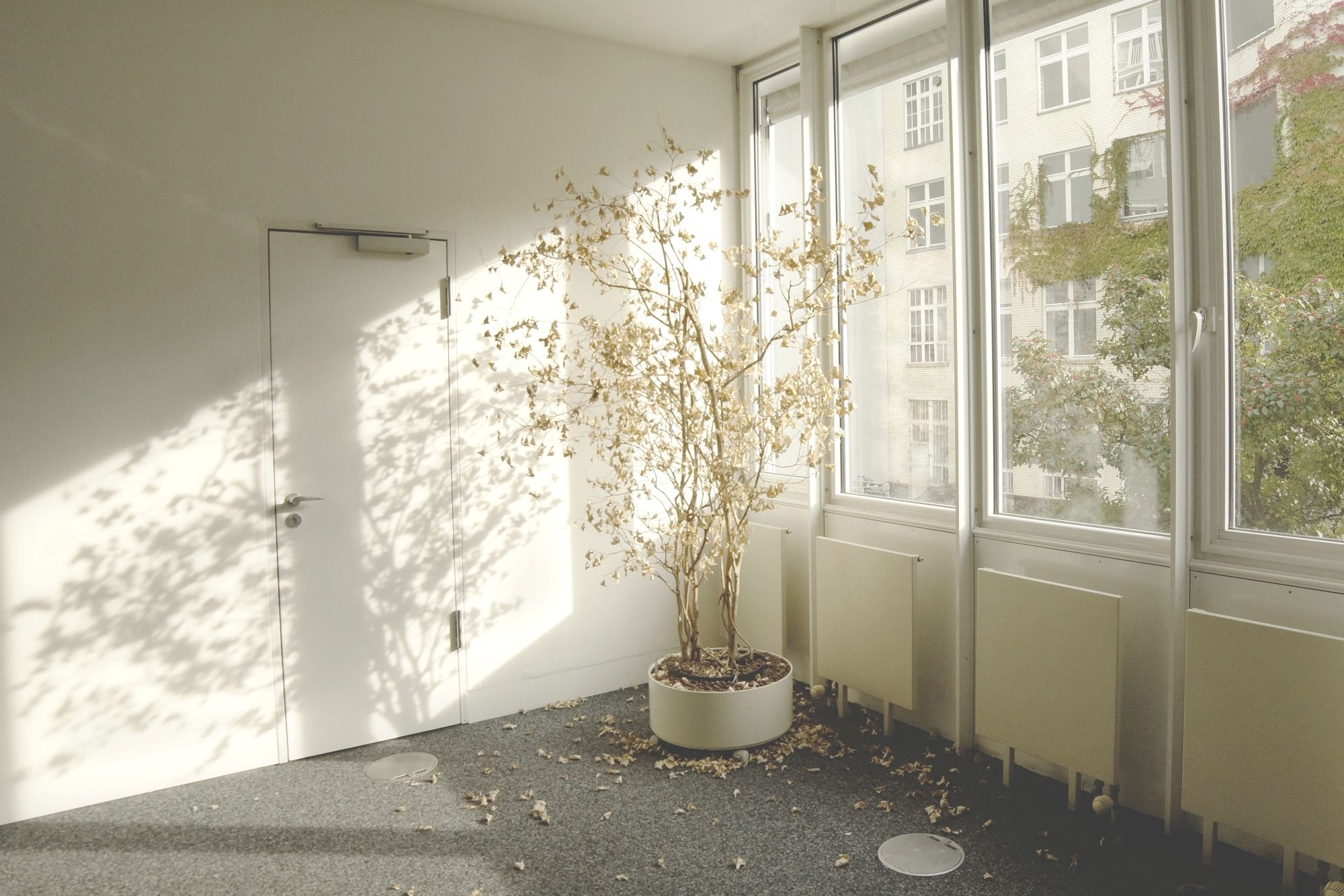 office-vacated-01